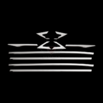 Honda Civic Cam Çıtası 2016- Paslanmaz Çelik - Görsel 2