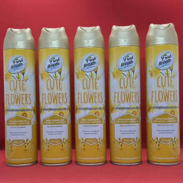 AUTOMİX Cute Flowers Araç Kokusu 300ml
